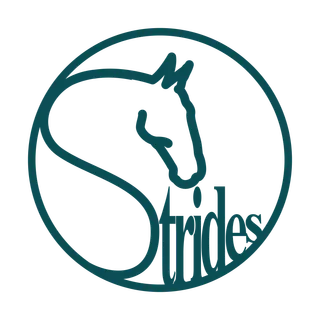 Strides Psychotherapy
